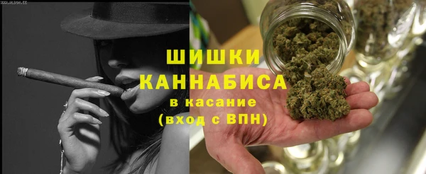 spice Аркадак