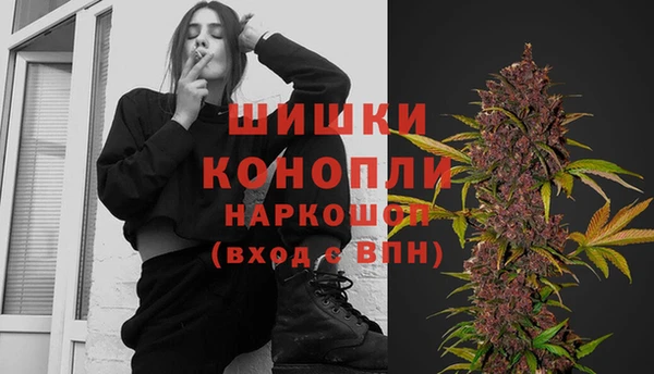 прущие грибы Баксан