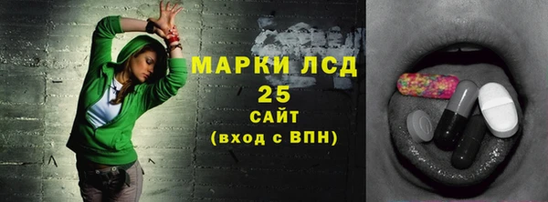 spice Аркадак