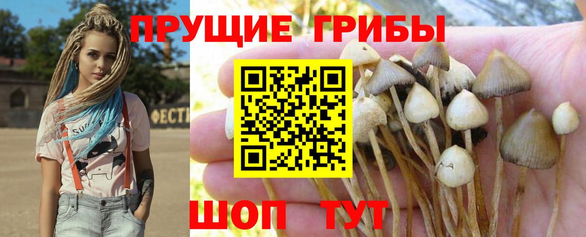 Галлюциногенные грибы мухоморы  Вход с VPN  Верхняя Салда 